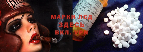 эйфоретик Алзамай