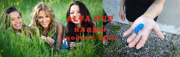 эйфоретик Алзамай